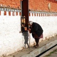 61465_439207062812139_176377088_n_439207062812139