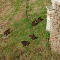 61484_439208746145304_382002009_n_439208746145304