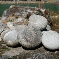 6393_439206506145528_1148504731_n_439206506145528