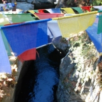 66017_439208029478709_1666053859_n_439208029478709