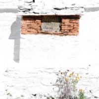 66045_439205596145619_1031652452_n_439205596145619