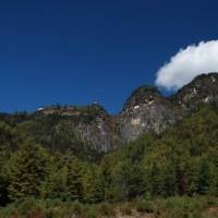 67046_439204839479028_654936822_n_439204839479028