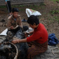 67606_439209109478601_8959673_n_439209109478601