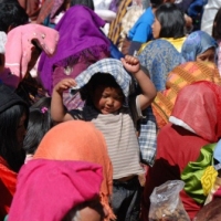 68139_439206309478881_81119489_n_439206309478881