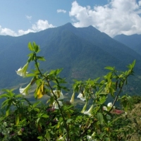 77032_439208629478649_1077603494_n_439208629478649