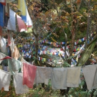 9661_439208022812043_234298587_n_439208022812043