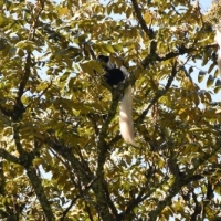 16178808_1263149063751264_2615807935942521915_o_1263149063751264