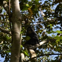 16179035_1263142233751947_5951717419402746122_o_1263142233751947