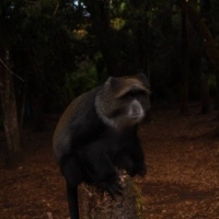 16252375_1263142810418556_5902926209070337287_o_1263142810418556