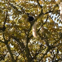 16300035_1263149210417916_6973296193769981836_o_1263149210417916