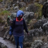 16179207_1263140573752113_2619067621743872399_o_1263140573752113