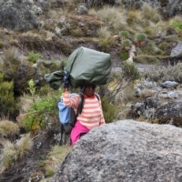 16300107_1263151310417706_574496536172204812_o_1263151310417706