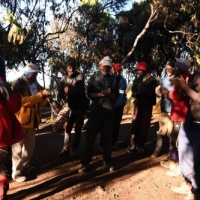 16179011_1263148990417938_7168575842474014935_o_1263148990417938