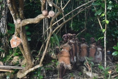 Solo_StartPerformance